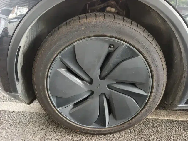 Tesla Model Y — Фото автомобиля 22