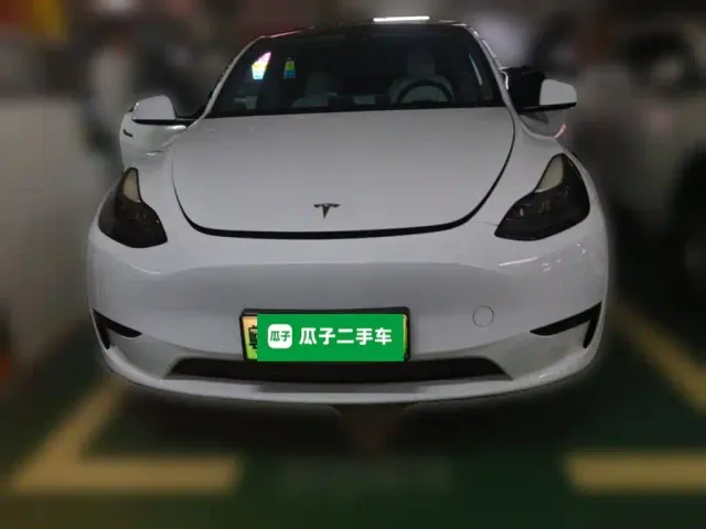 Tesla Model Y — Фото автомобиля 2