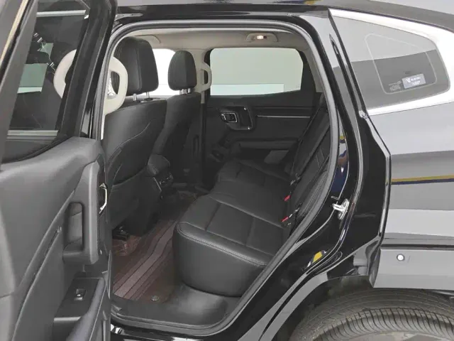 Haval Big Dog — Фото автомобиля 11
