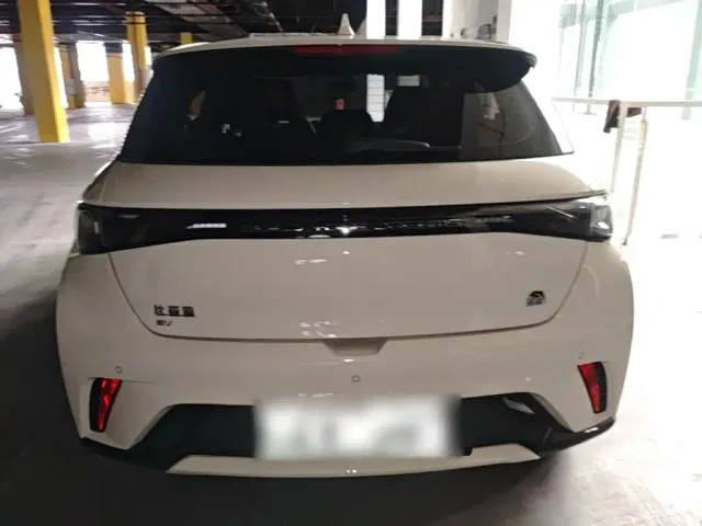 BYD Dolphin — Фото автомобиля 5