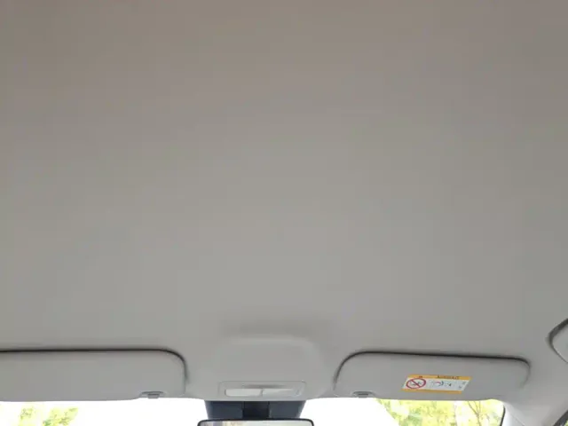 Geely Starry Wish — Фото автомобиля 17