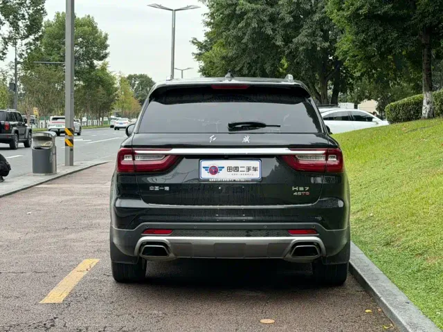 Hongqi HS7 — Фото автомобиля 5