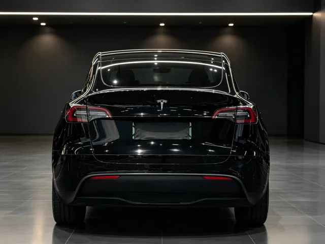 Tesla Model Y — Фото автомобиля 8