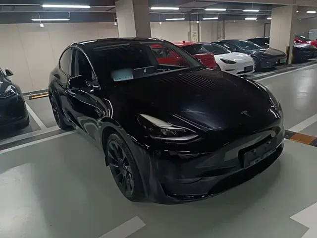 Tesla Model Y — Фото автомобиля 3