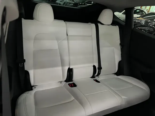 Tesla Model Y — Фото автомобиля 10