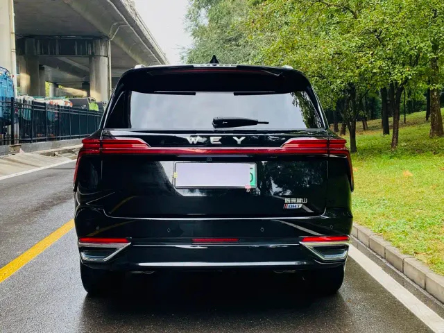 Wey Lanshan — Фото автомобиля 17