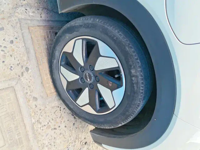 BYD Dolphin — Фото автомобиля 6