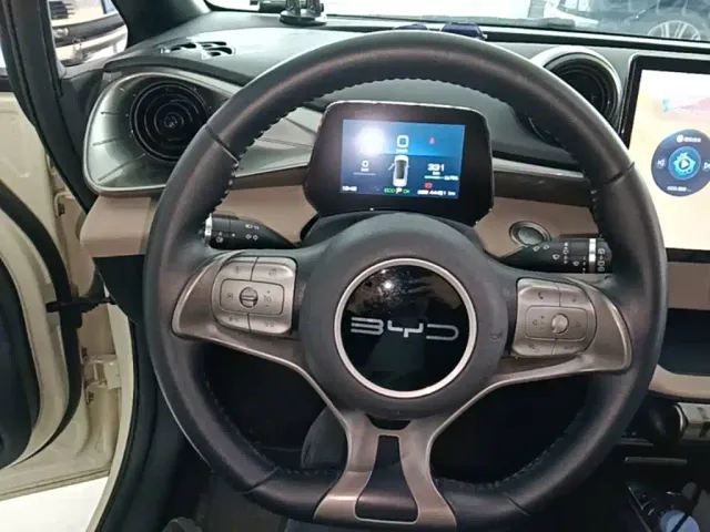 BYD Dolphin — Фото автомобиля 10