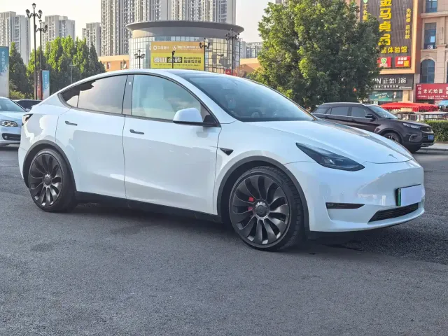 Tesla Model Y — Фото автомобиля 3