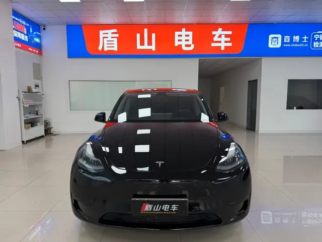Tesla Model Y — Фото автомобиля 2