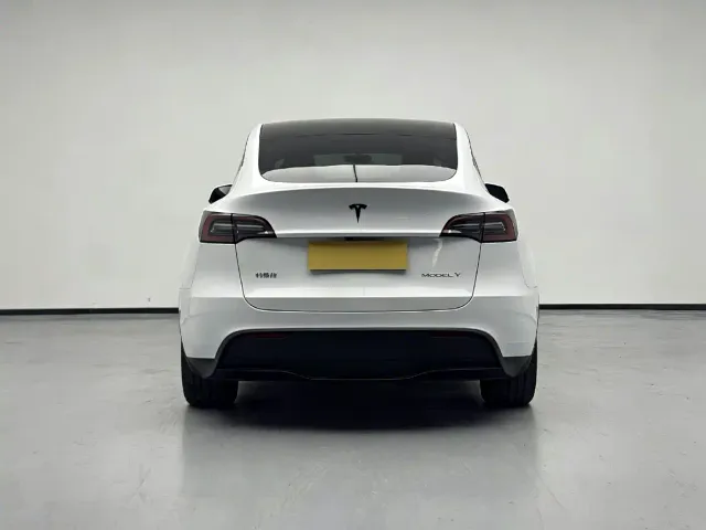 Tesla Model Y — Фото автомобиля 3