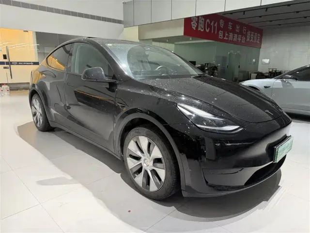 Tesla Model Y — Фото автомобиля 3