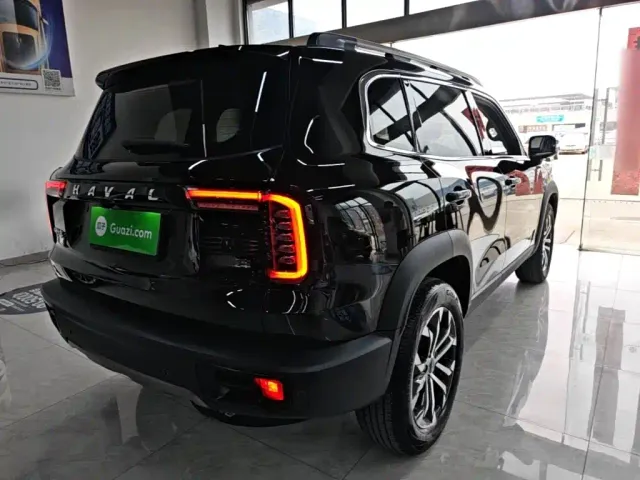 Haval Haval Big Dog 2021 1.5T DCT 2WD Border Collie Edition — Фото автомобиля 6
