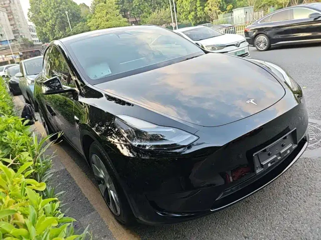 Tesla Model Y — Фото автомобиля 3