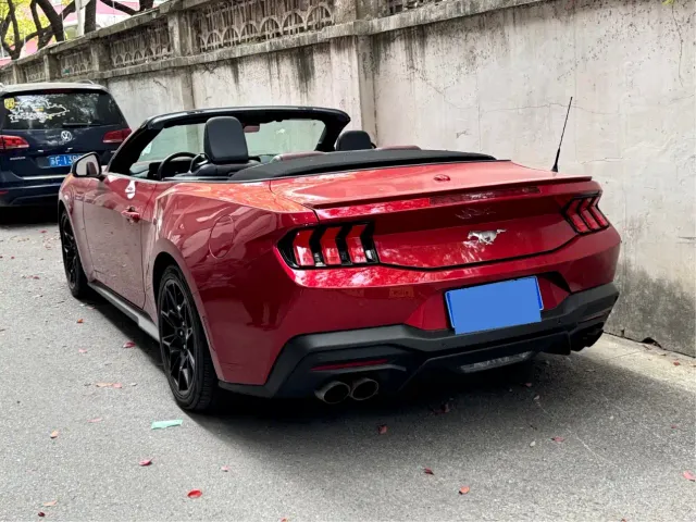 Ford Mustang — Фото автомобиля 3