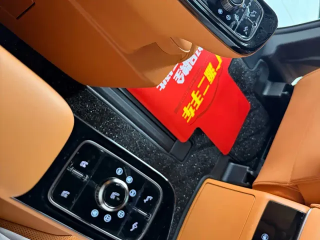 Wey Alpine — Фото автомобиля 14