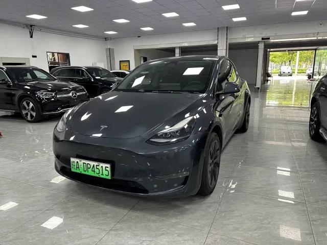 Tesla Model Y — Фото автомобиля 2