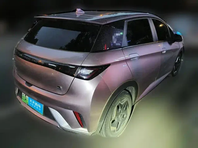 BYD Dolphin — Фото автомобиля 2