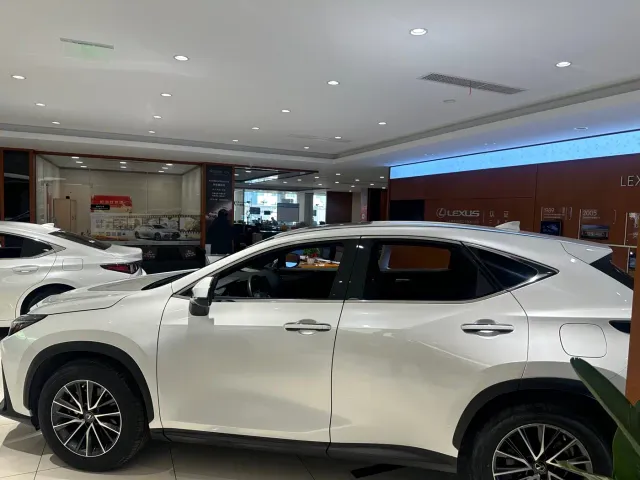 Lexus NX — Фото автомобиля 2