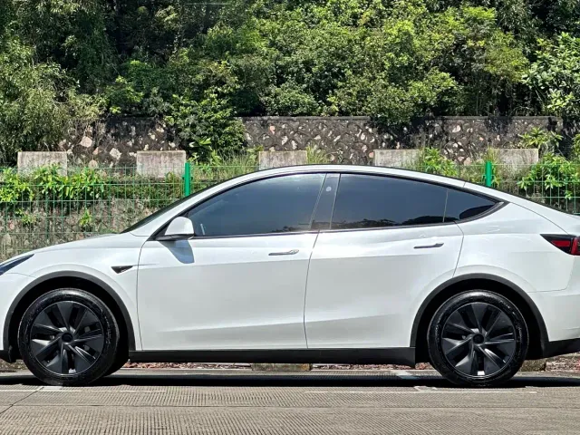Tesla Model Y — Фото автомобиля 17