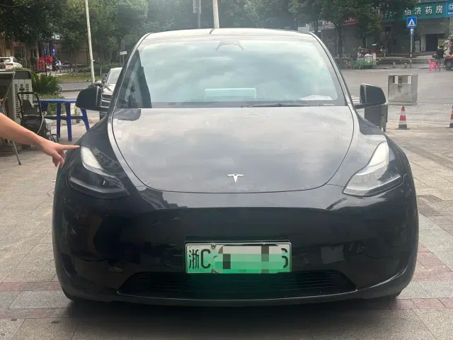 Tesla Model Y — Фото автомобиля 2