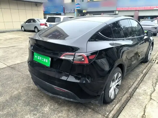 Tesla Model Y 2021 Standard Range Rear-Wheel Drive — Фото автомобиля 6
