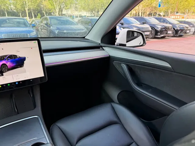 Tesla Model Y — Фото автомобиля 10