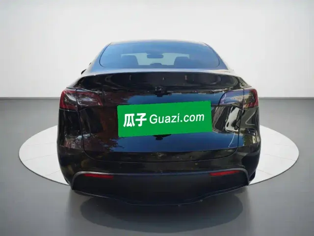 Tesla Model Y — Фото автомобиля 3