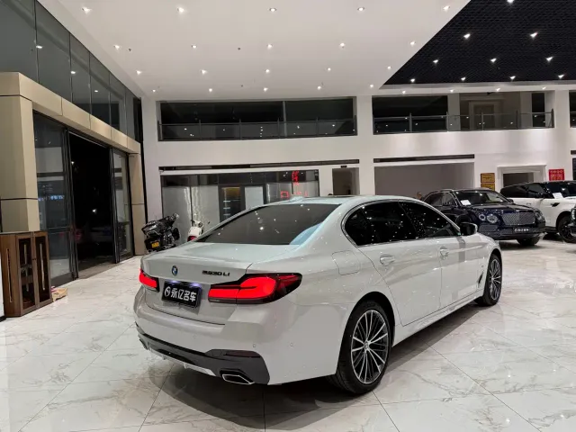 BMW 5 Series — Фото автомобиля 17
