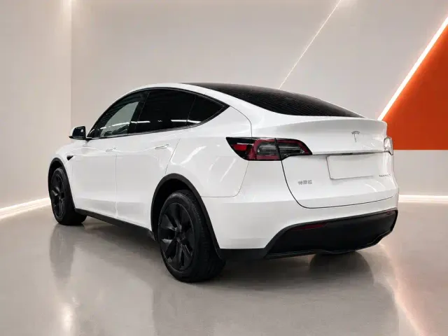 Tesla Model Y — Фото автомобиля 4