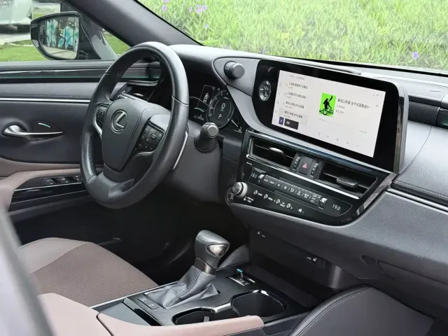 Lexus Lexus ES 2022 200 Excellence Edition — Фото автомобиля 13