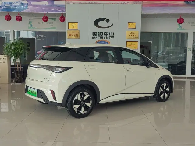 BYD Dolphin — Фото автомобиля 3