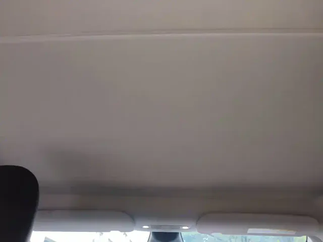 Tesla Model Y — Фото автомобиля 17