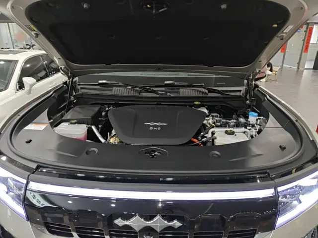 BYD FangChengBao Leopard 8 — Фото автомобиля 19