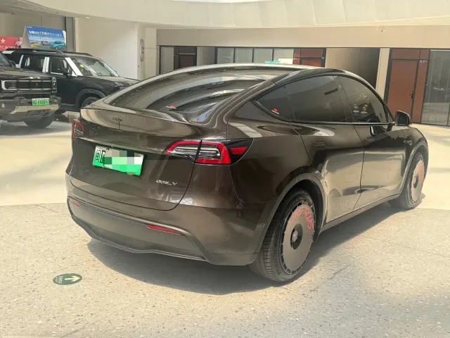 Tesla Model Y — Фото автомобиля 4