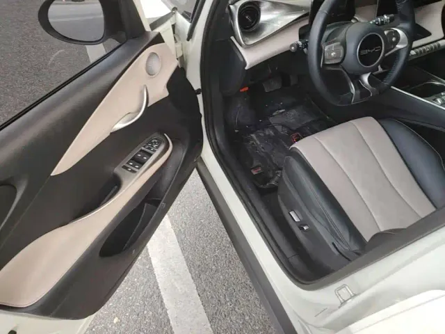 BYD Dolphin — Фото автомобиля 15