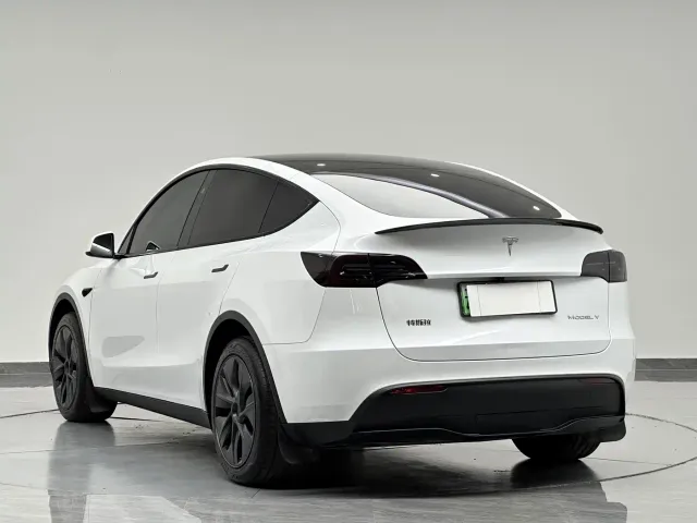 Tesla Model Y — Фото автомобиля 5