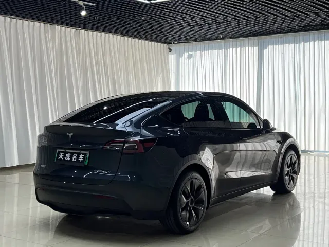 Tesla Model Y — Фото автомобиля 4