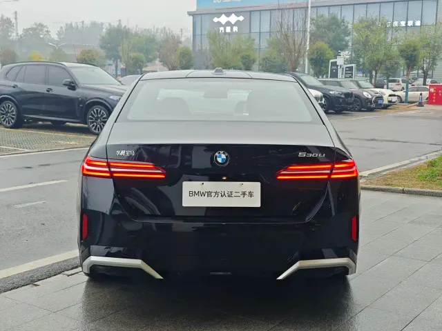 BMW 5 Series — Фото автомобиля 8