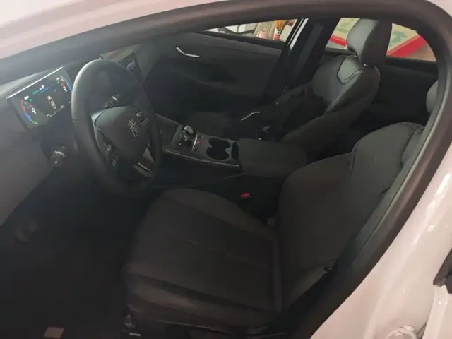 BYD Qin PLUS — Фото автомобиля 14