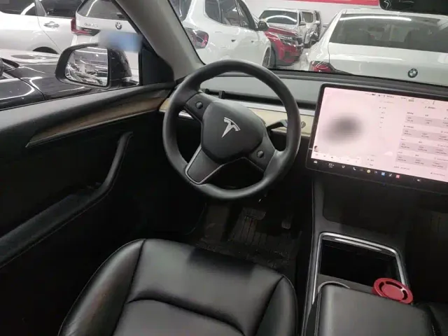 Tesla Model Y — Фото автомобиля 10