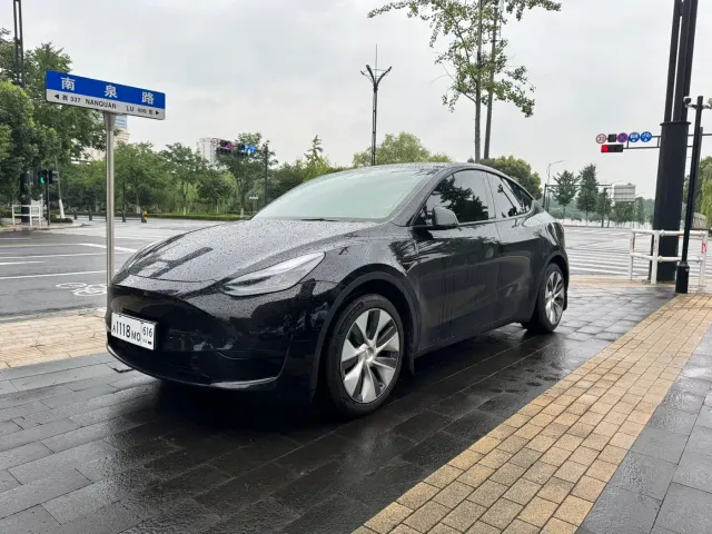 Tesla Model Y — Фото автомобиля 2