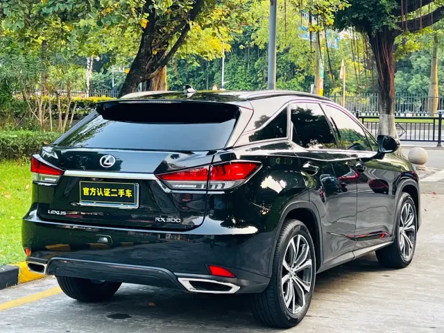 Lexus RX — Фото автомобиля 5