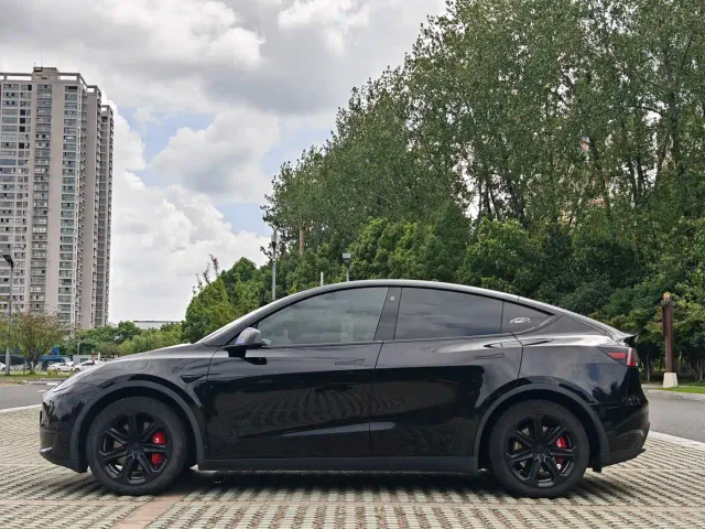 Tesla Model Y — Фото автомобиля 3