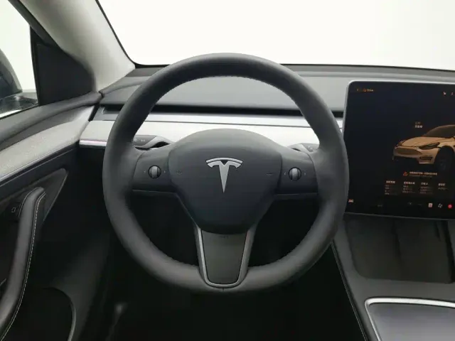 Tesla Model Y — Фото автомобиля 11