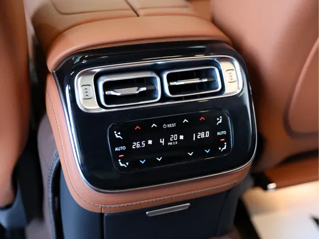 Mercedes-Benz S-Class — Фото автомобиля 14
