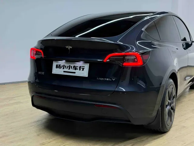 Tesla Model Y — Фото автомобиля 22