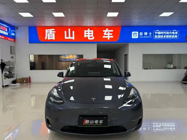 Tesla Model Y — Фото автомобиля 2