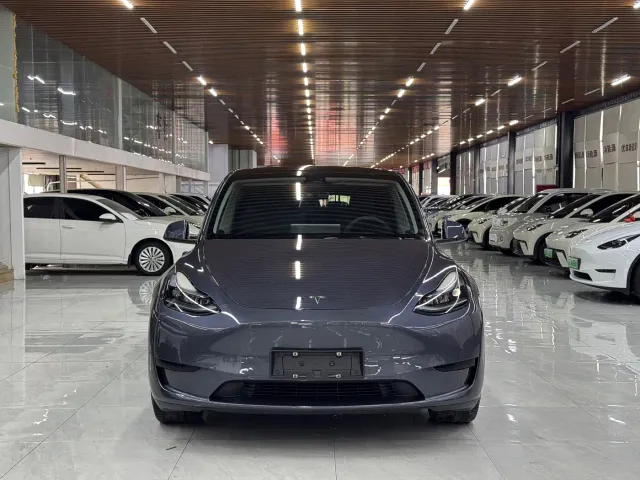 Tesla Model Y — Фото автомобиля 2