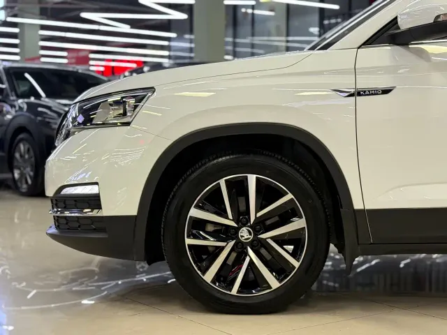 Skoda Kamiq — Фото автомобиля 6